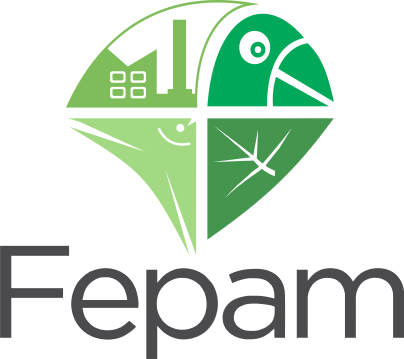logo fepam